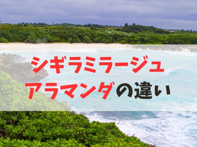 シギラミラージュとアラマンダの違い