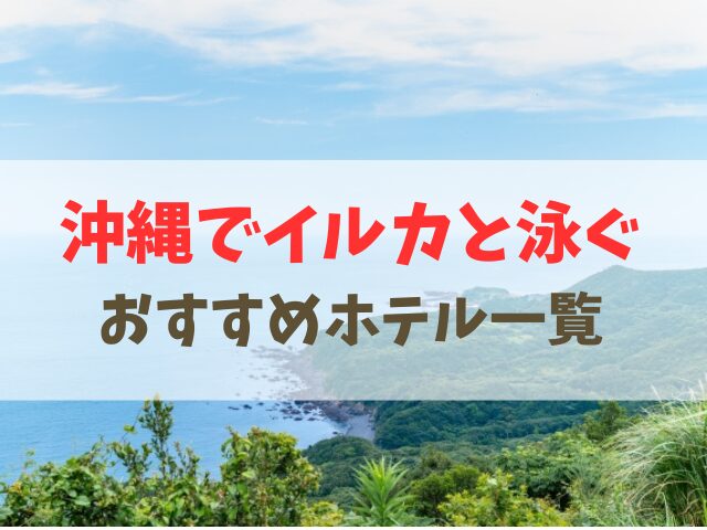 沖縄でイルカと泳ぐホテル