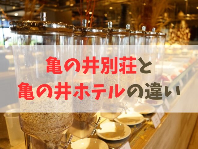 亀の井別荘 亀の井ホテル違い