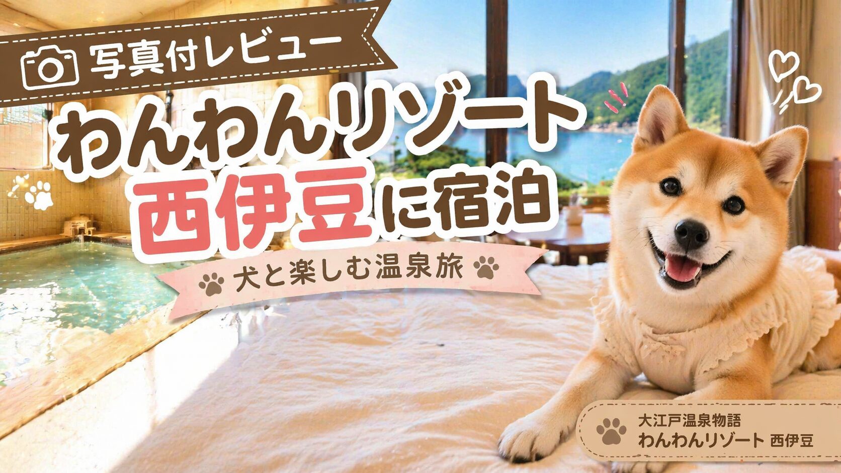 わんわんリゾート西伊豆レビュー